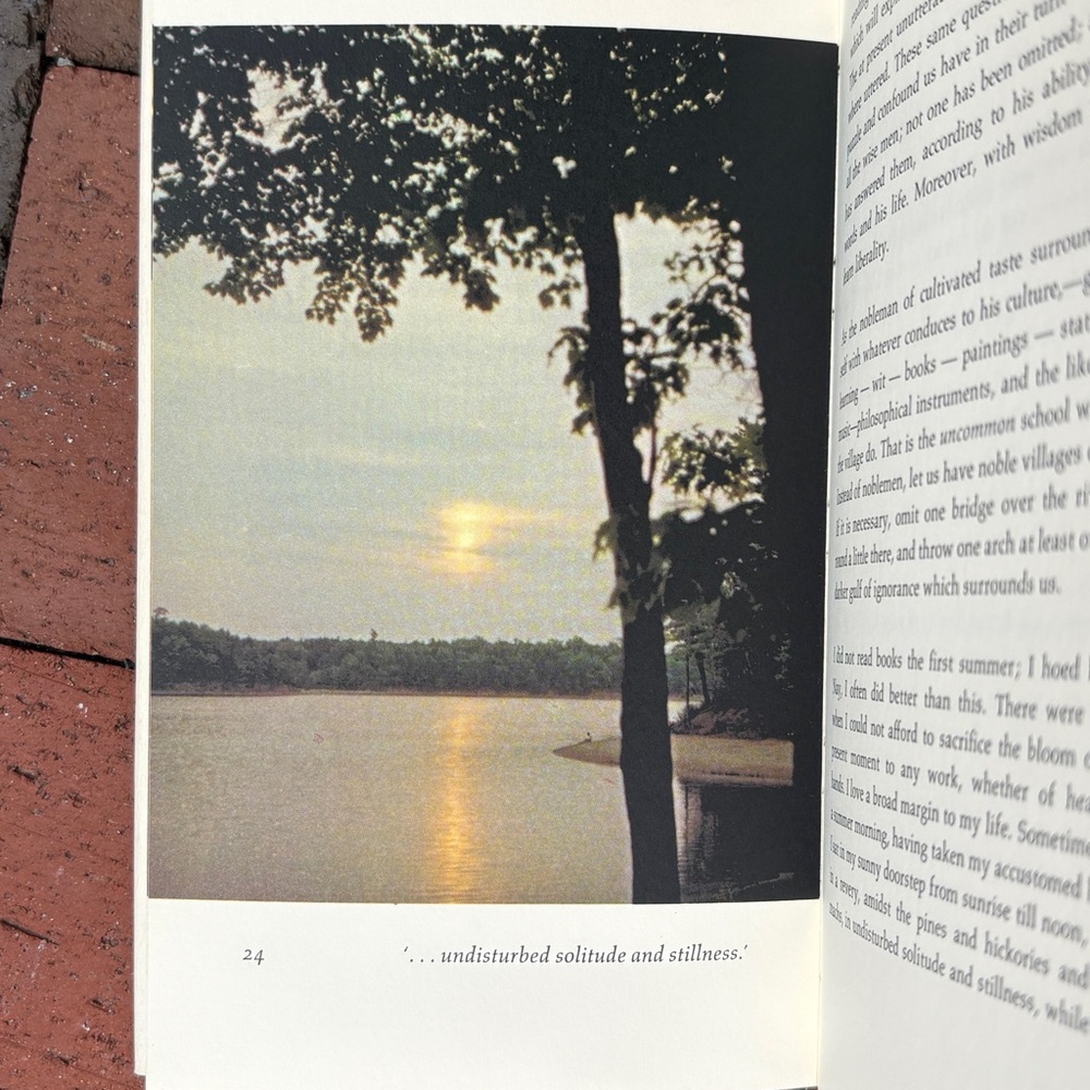 1968 Reflections at Walden Pond Henry David Thoreau Color Photo Nature Woods - Picture 4 of 9